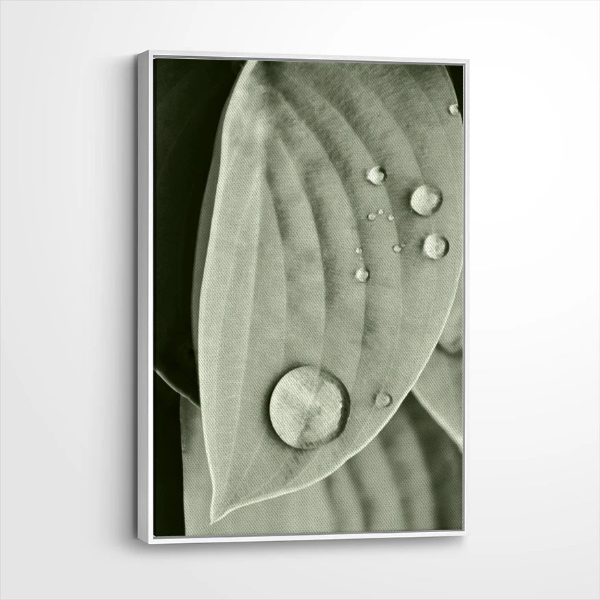 framed-canvas-white