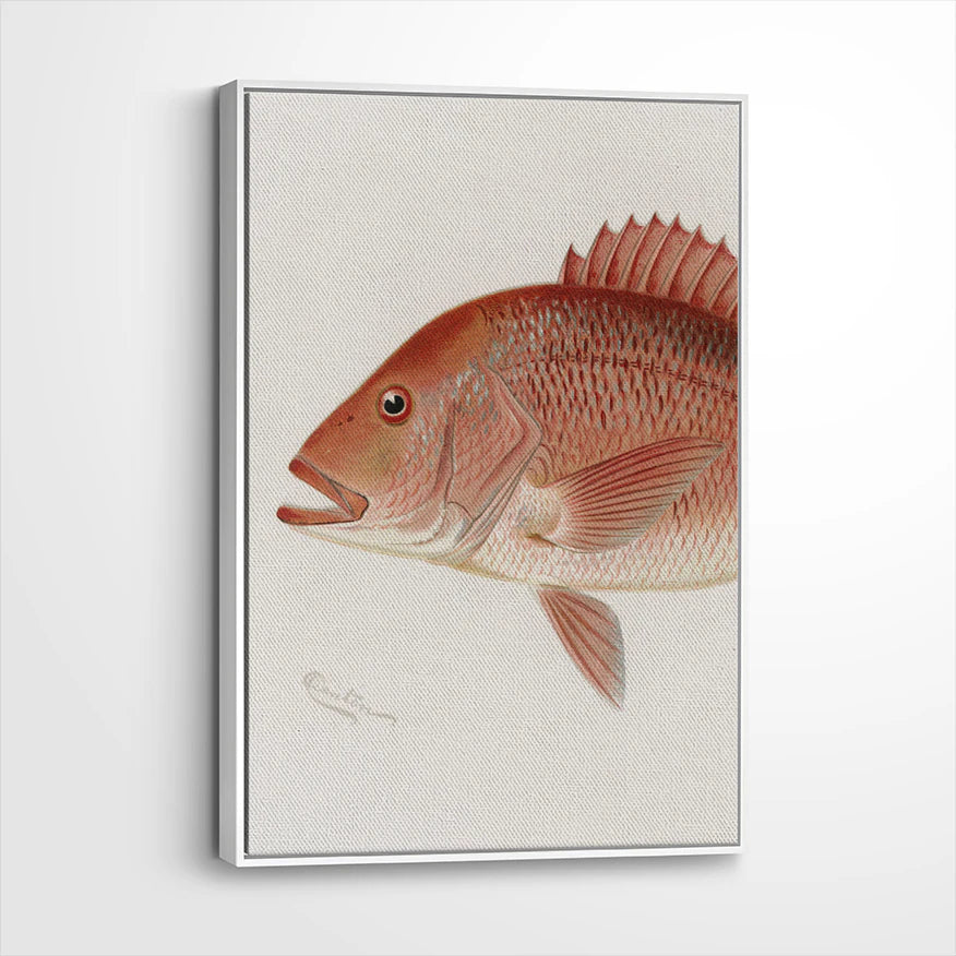 framed-canvas-white