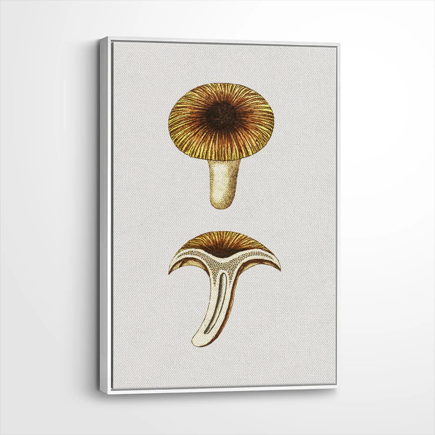 framed-canvas-white