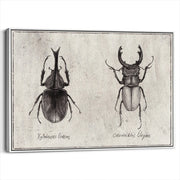 framed-canvas-white