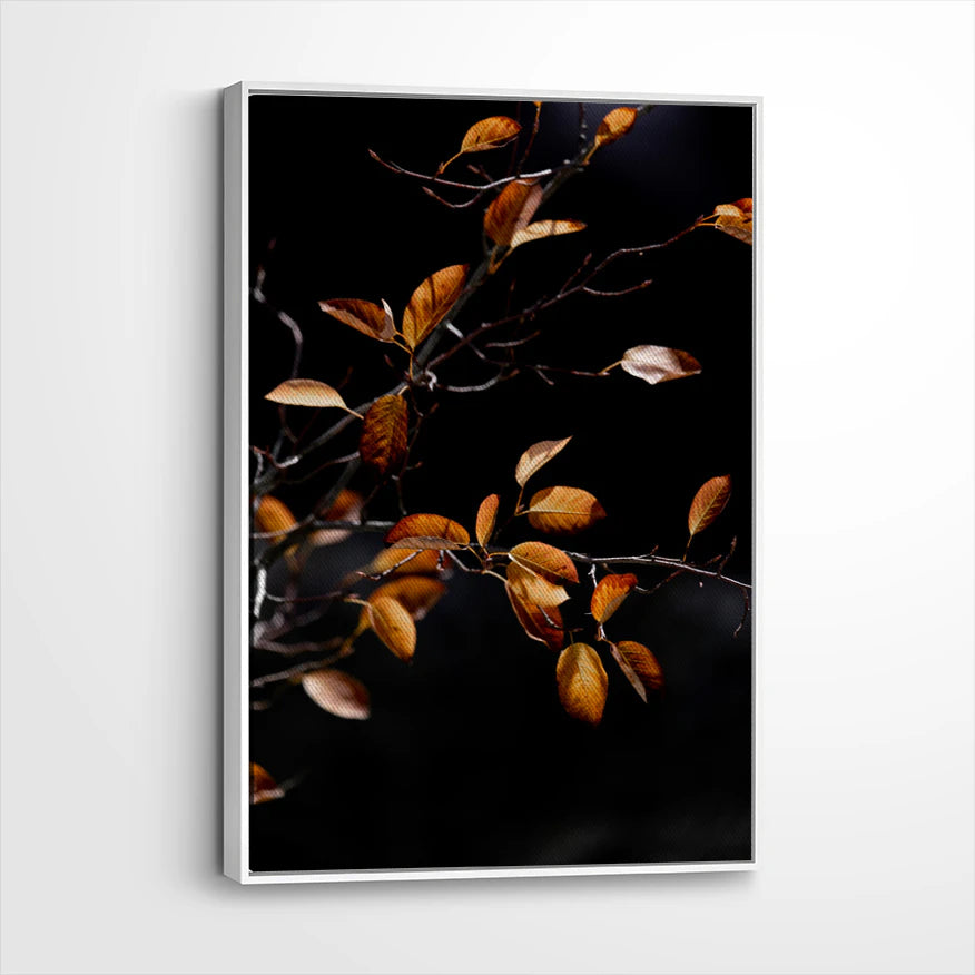 framed-canvas-white