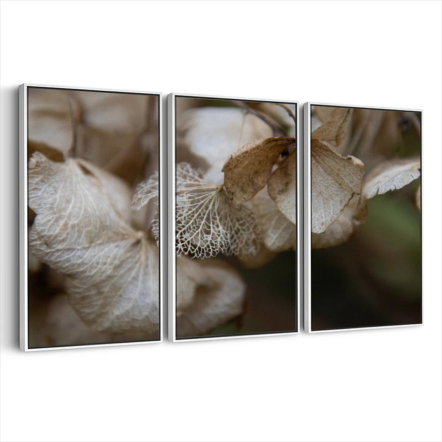 3-framed-print-white