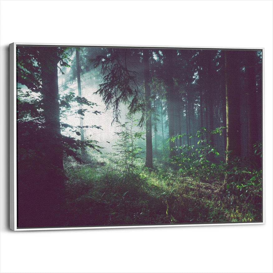 framed-canvas-white