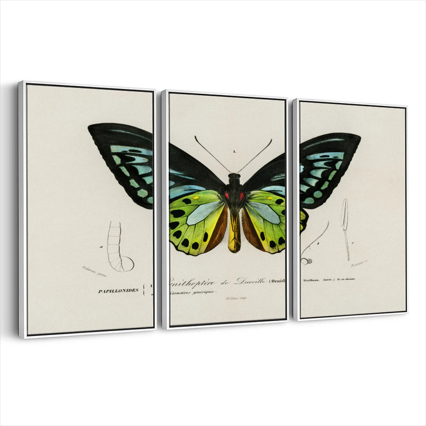 3-framed-print-white