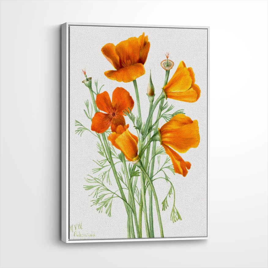 framed-canvas-white