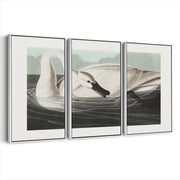 3-framed-print-white