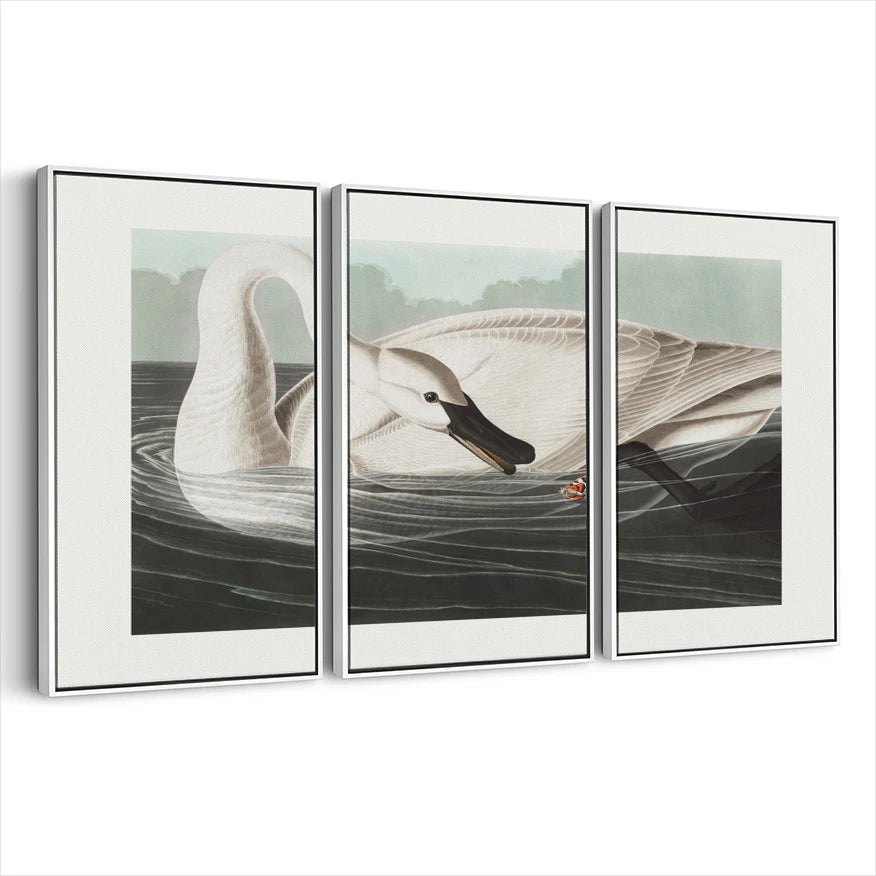 3-framed-print-white