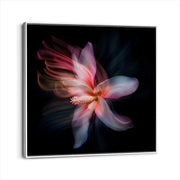framed-canvas-white