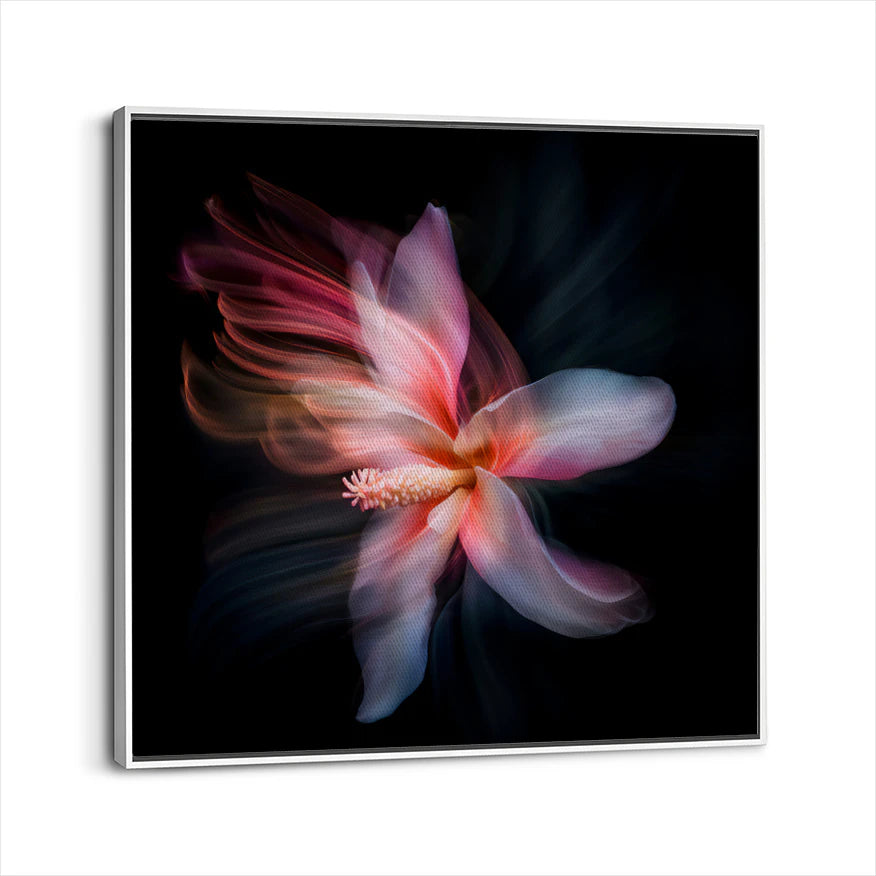 framed-canvas-white
