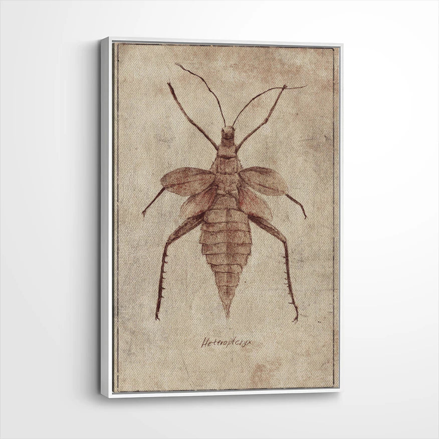 framed-canvas-white