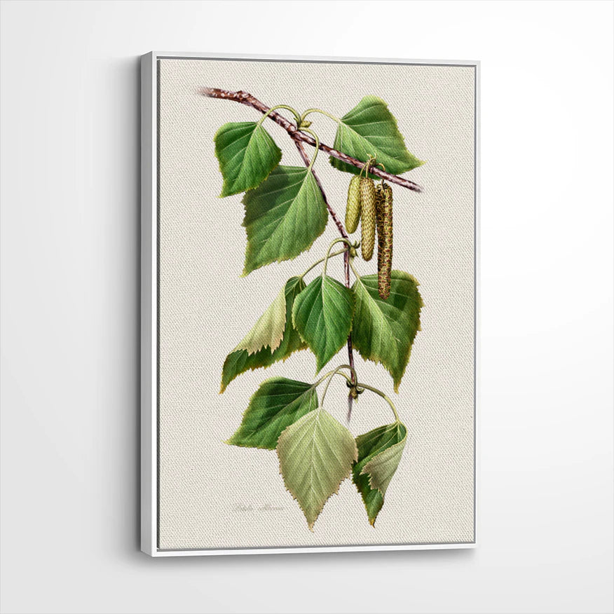 framed-canvas-white