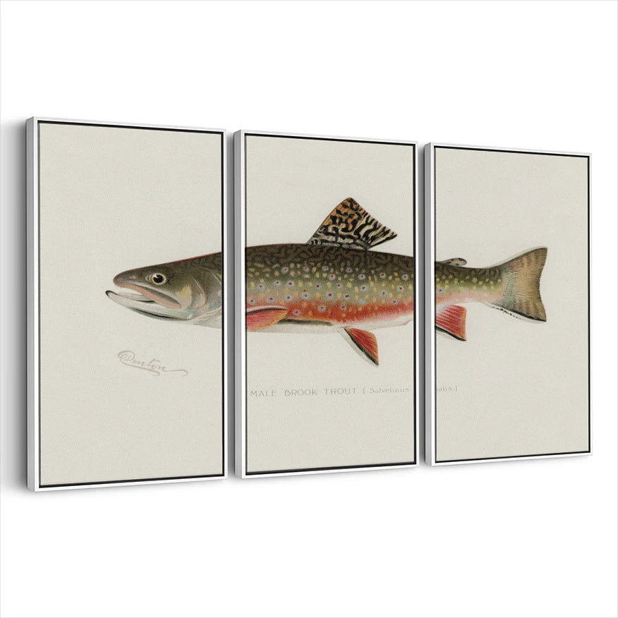 3-framed-print-white