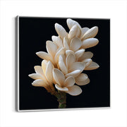 framed-canvas-white