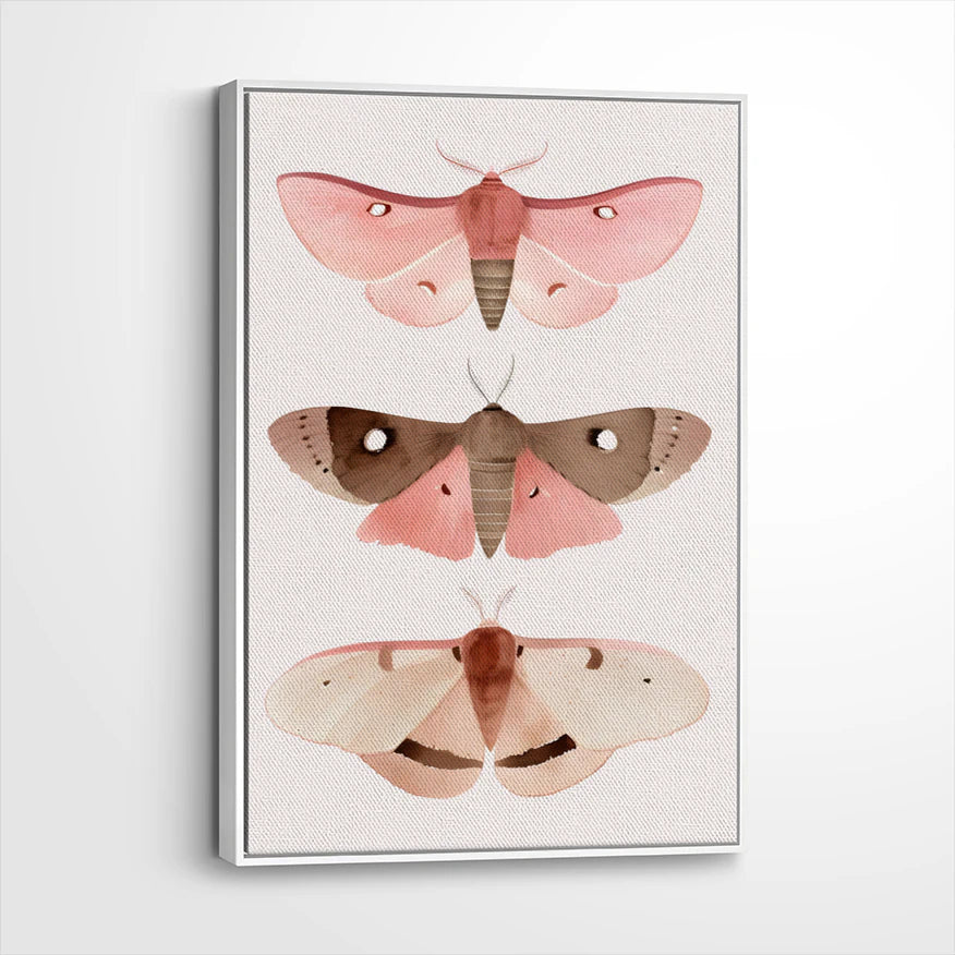 framed-canvas-white