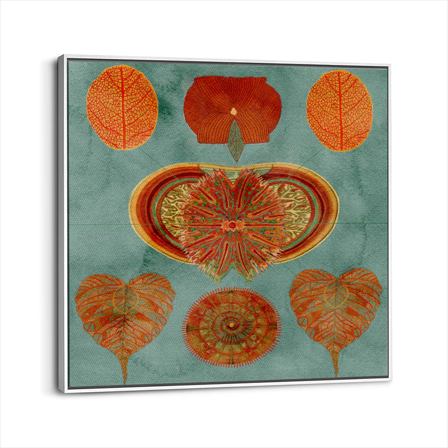 framed-canvas-white