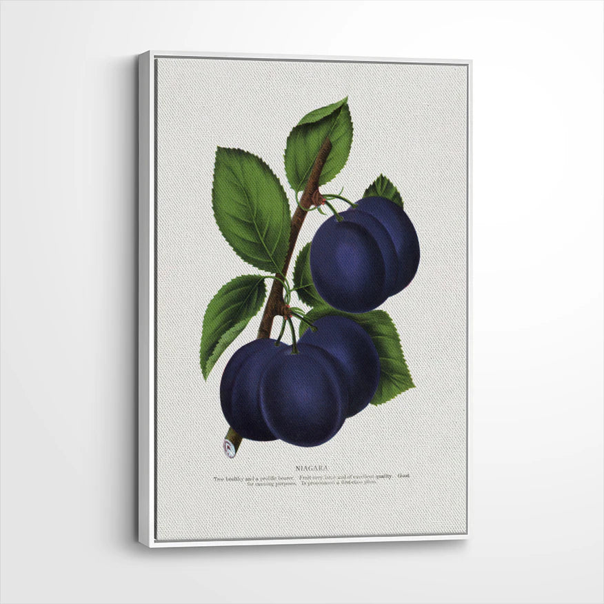 framed-canvas-white
