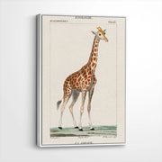 framed-canvas-white