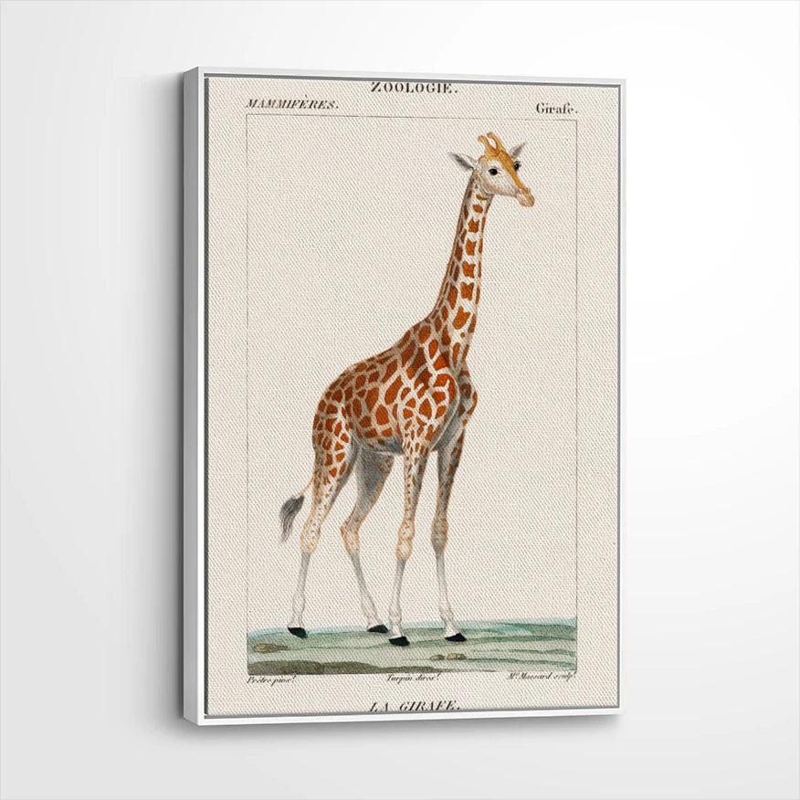 framed-canvas-white