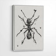 framed-canvas-white