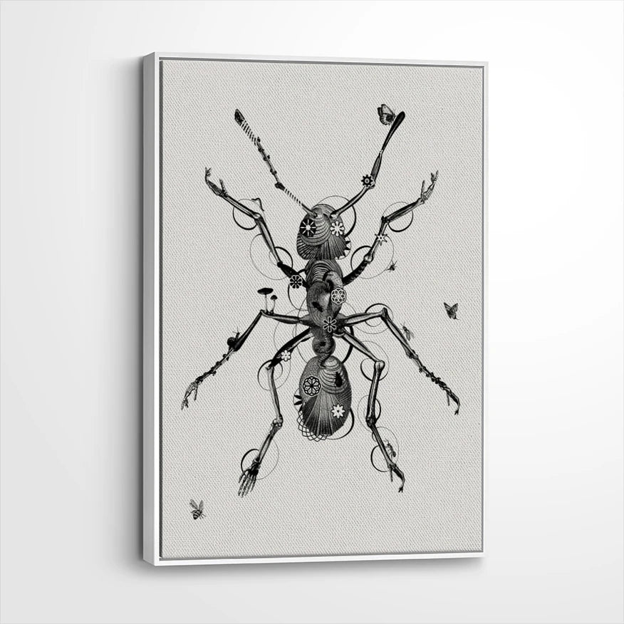 framed-canvas-white
