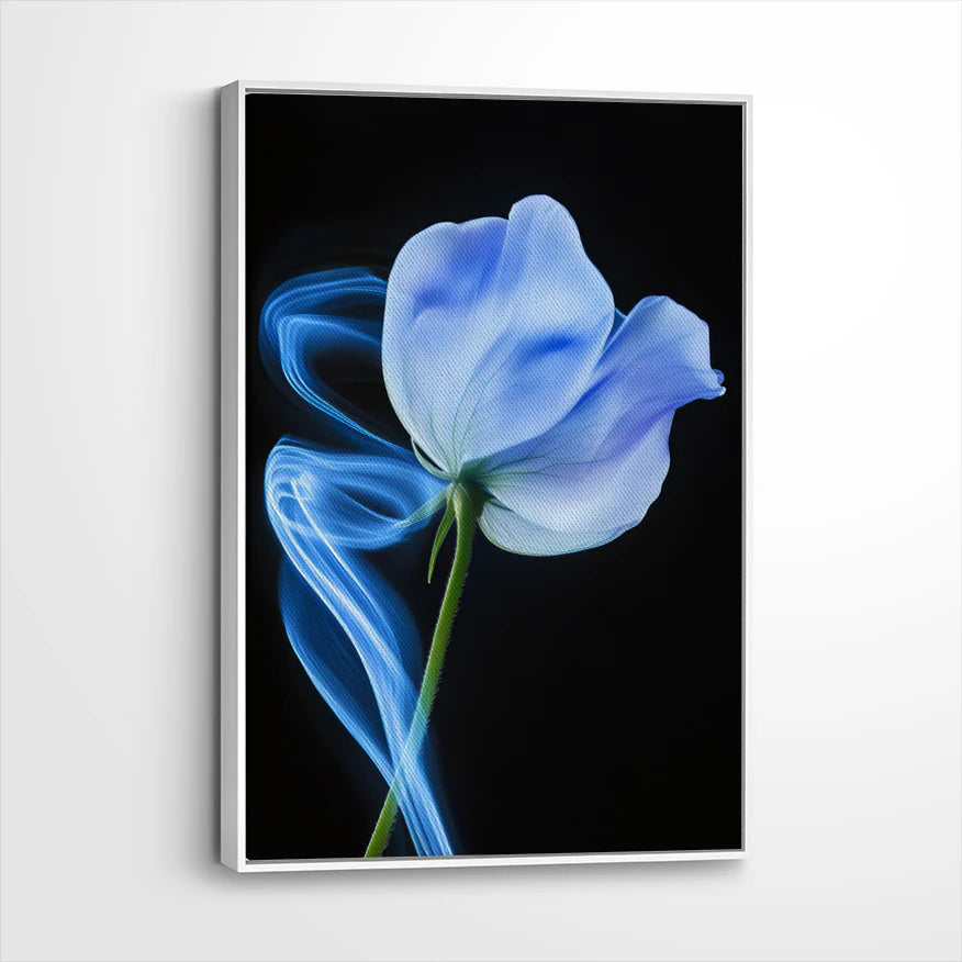 framed-canvas-white