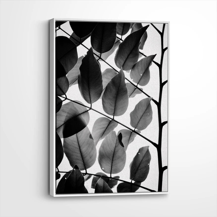 framed-canvas-white