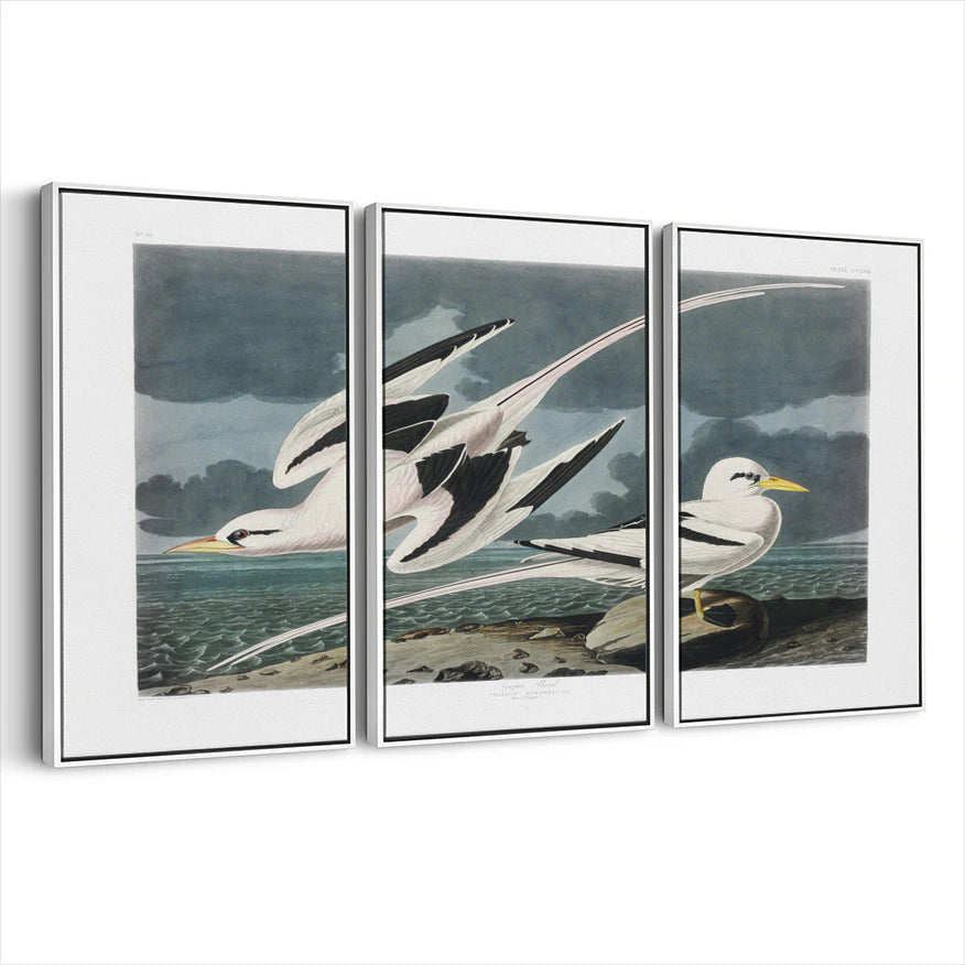 3-framed-print-white