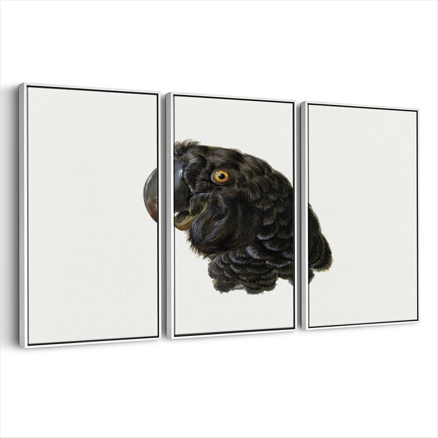 3-framed-canvas-white