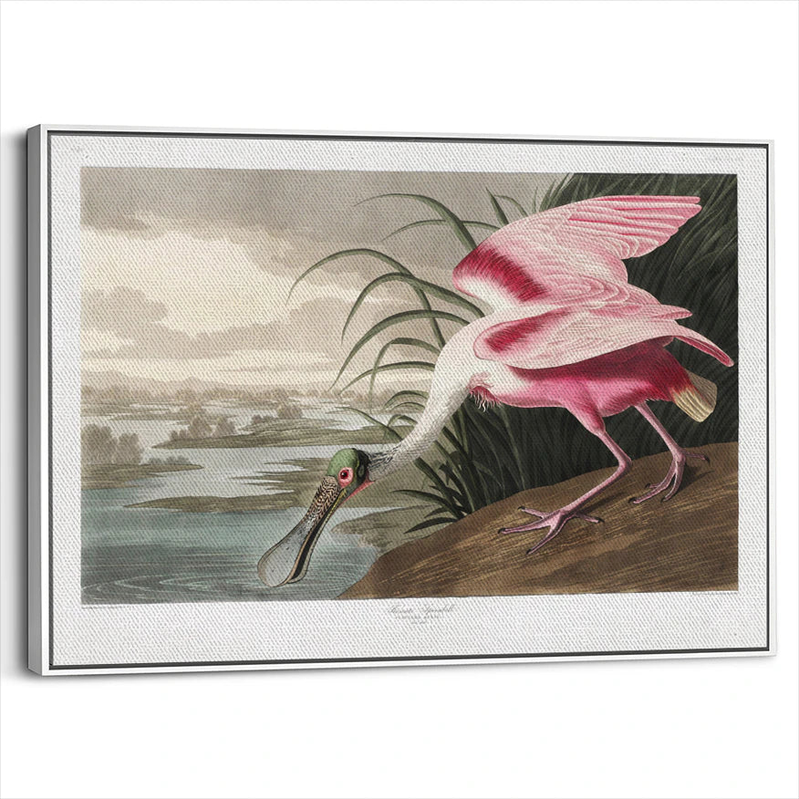 framed-canvas-white
