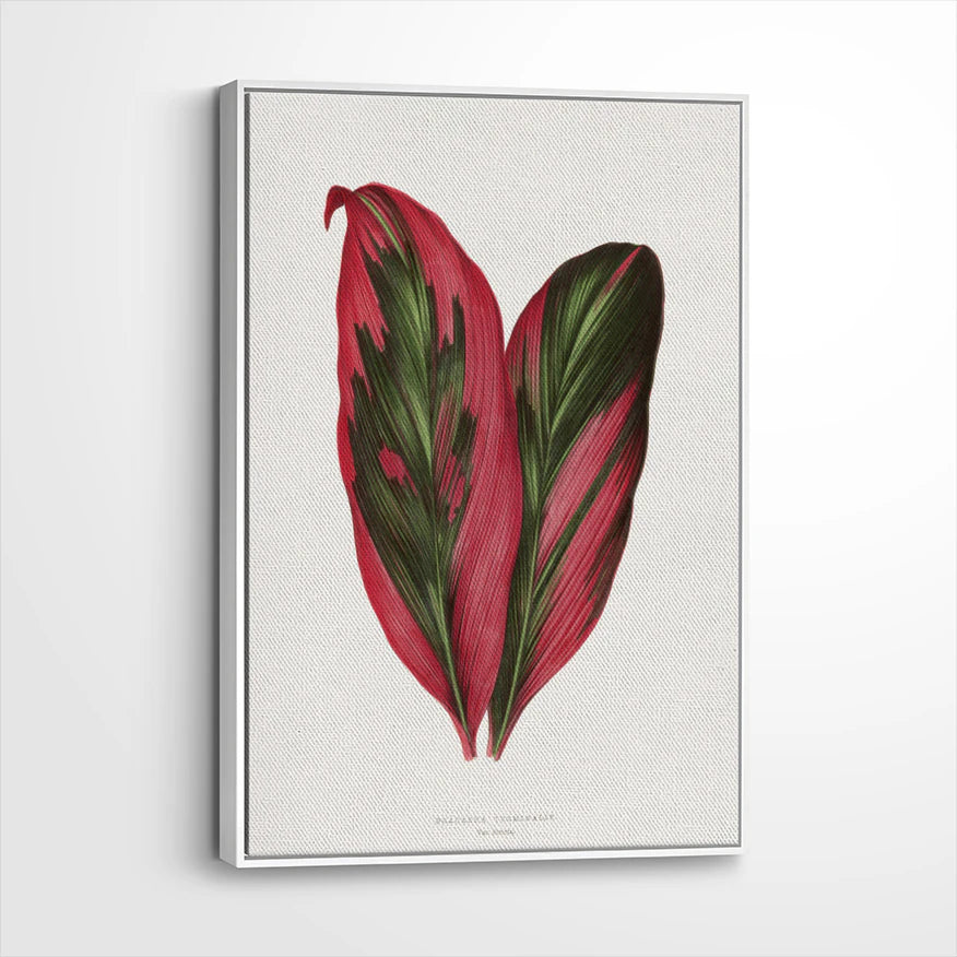 framed-canvas-white