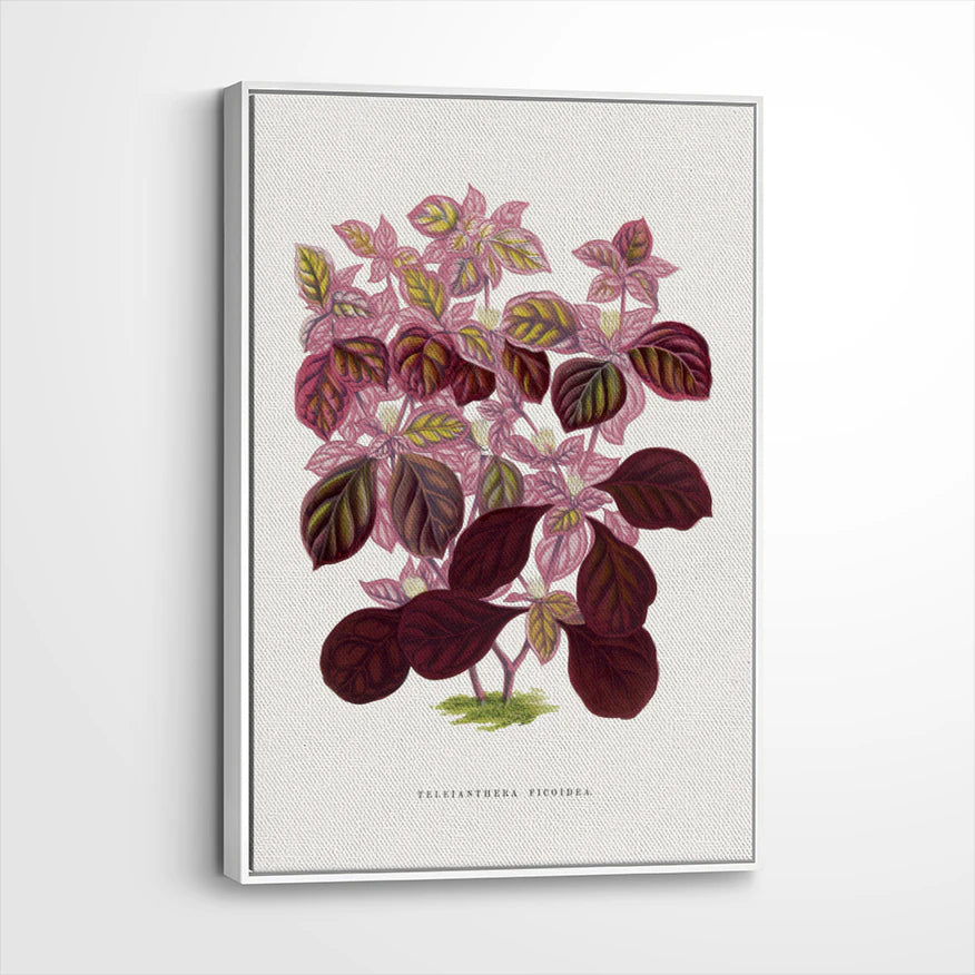 framed-canvas-white