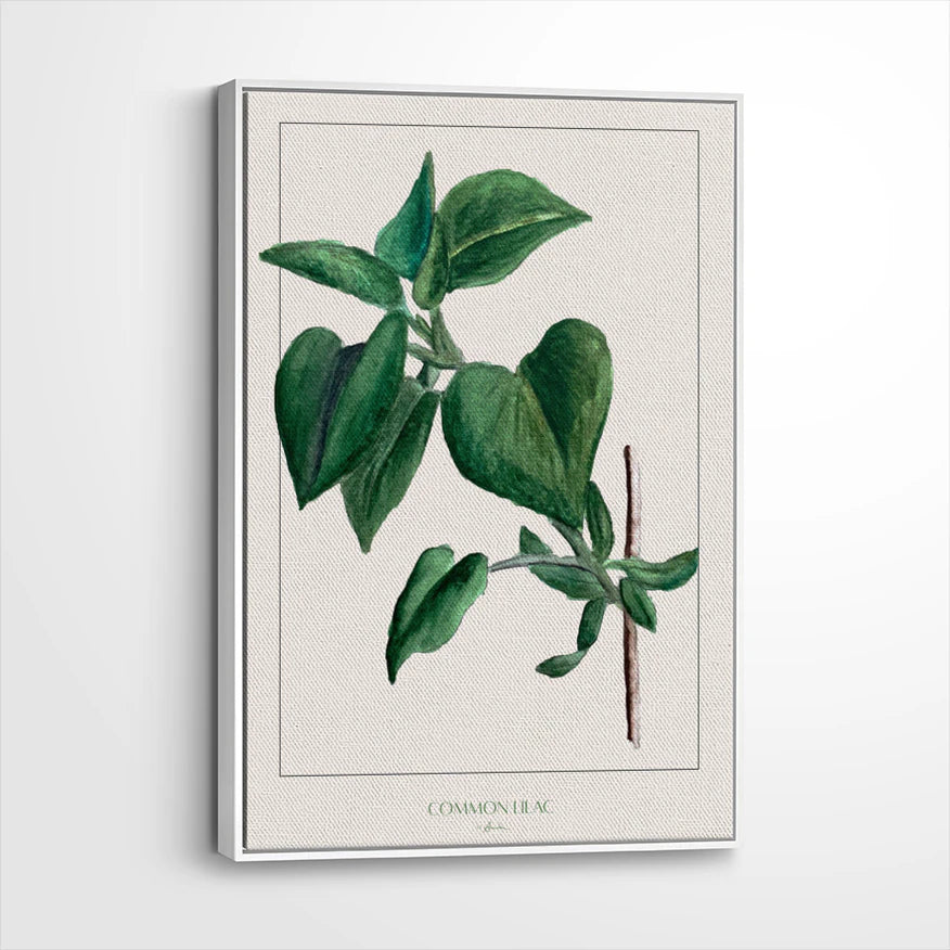 framed-canvas-white