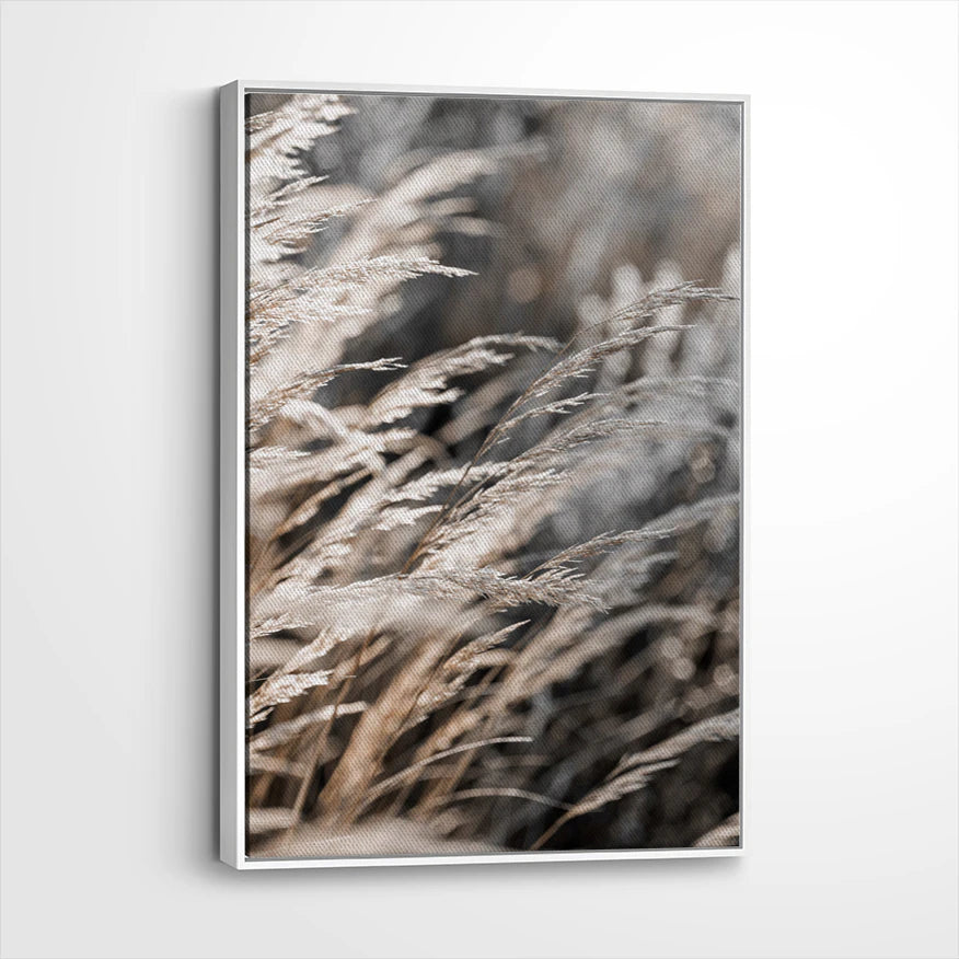 framed-canvas-white
