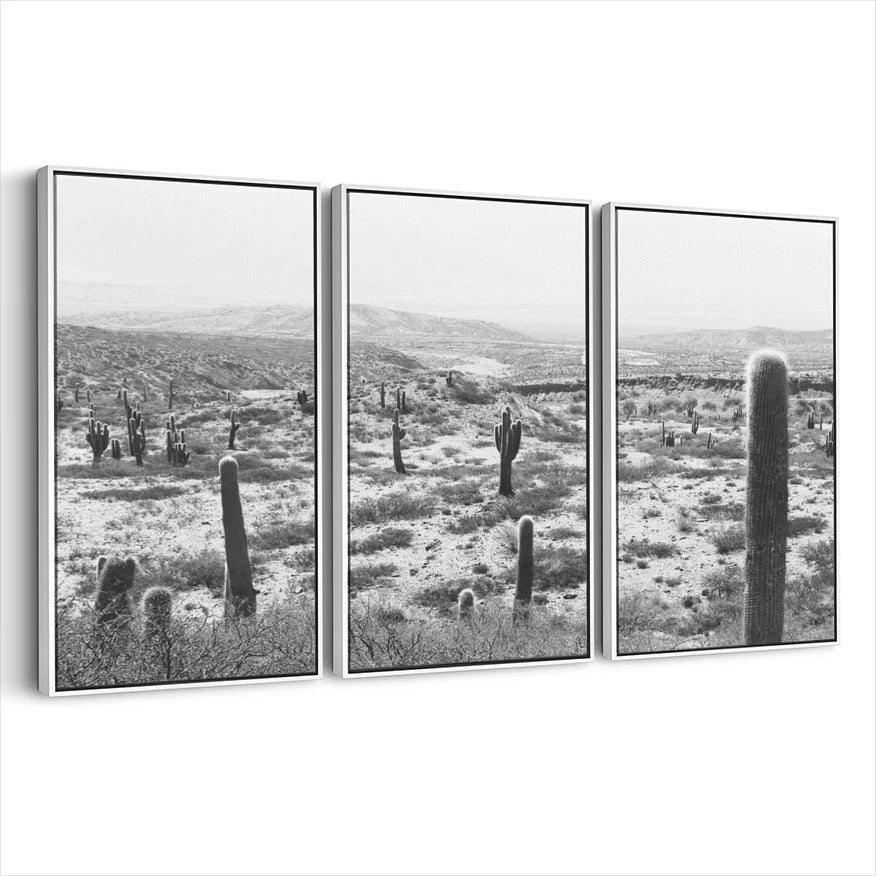 3-framed-canvas-white
