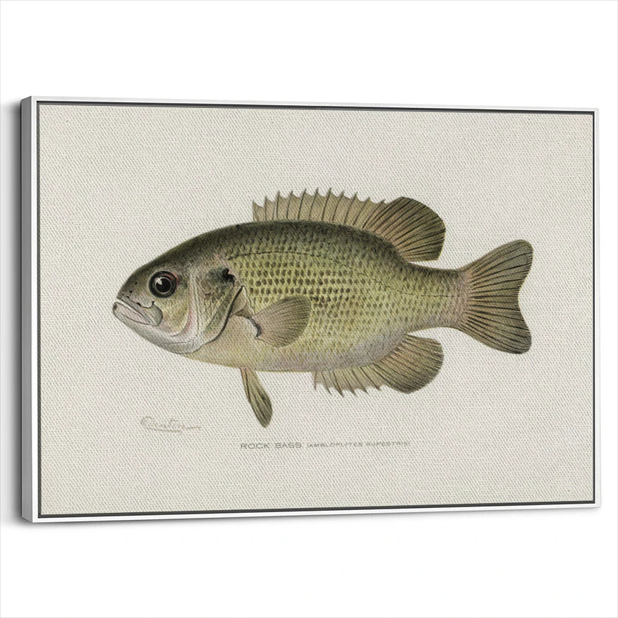 framed-canvas-white