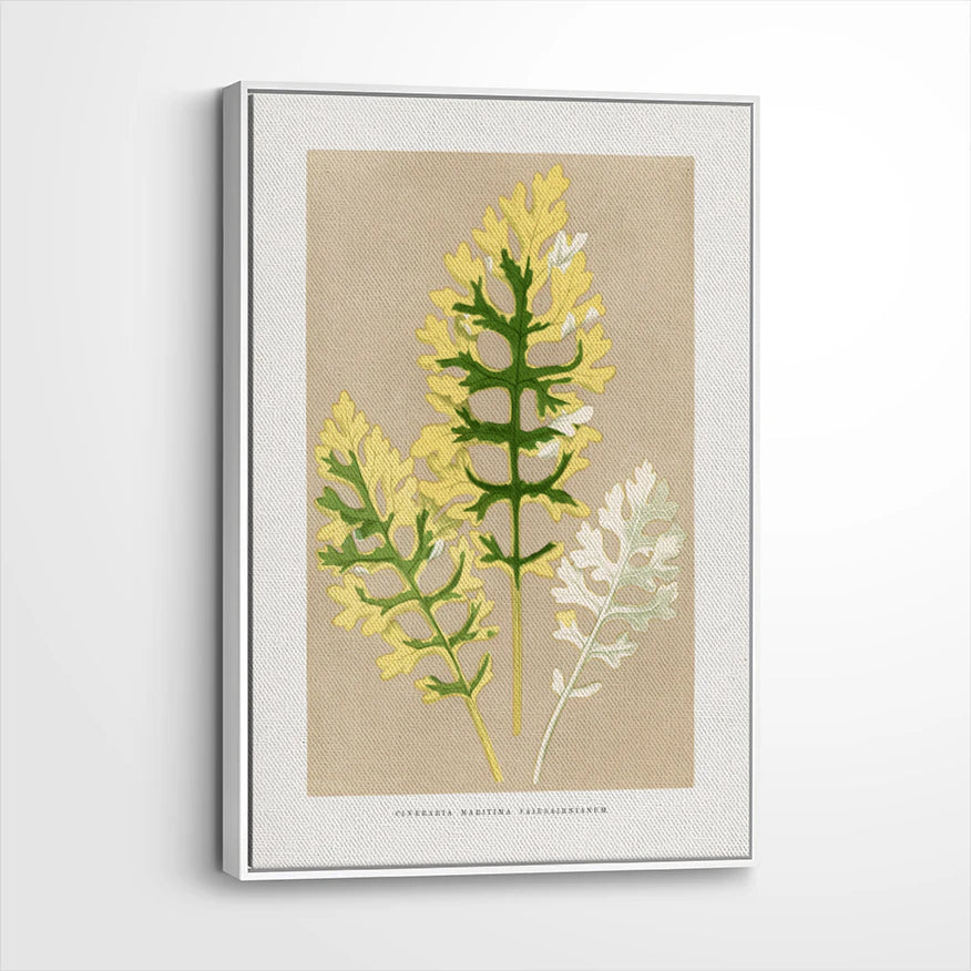 framed-canvas-white