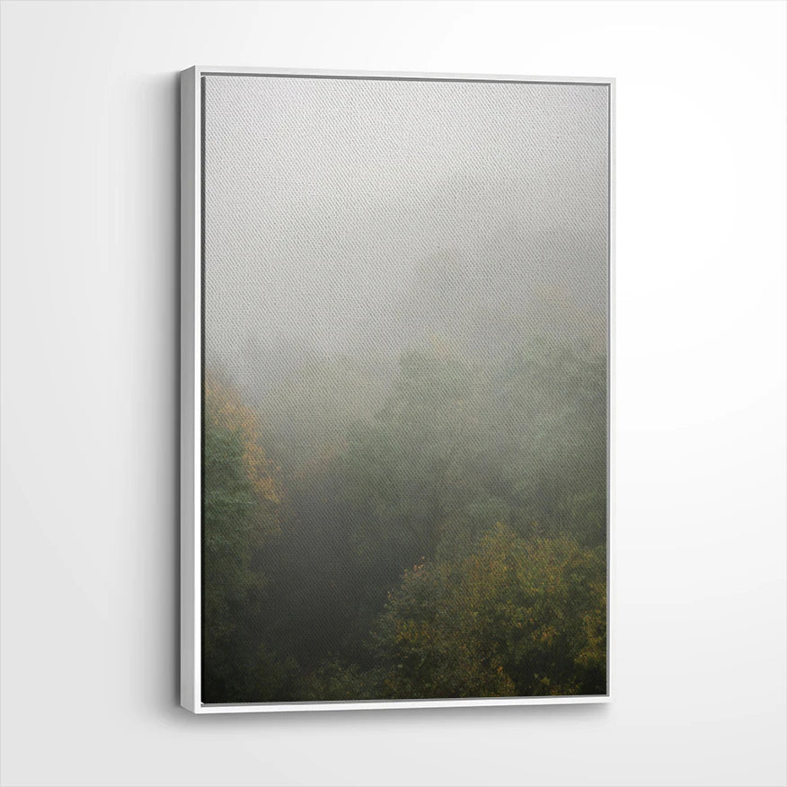 framed-canvas-white