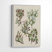 framed-canvas-white
