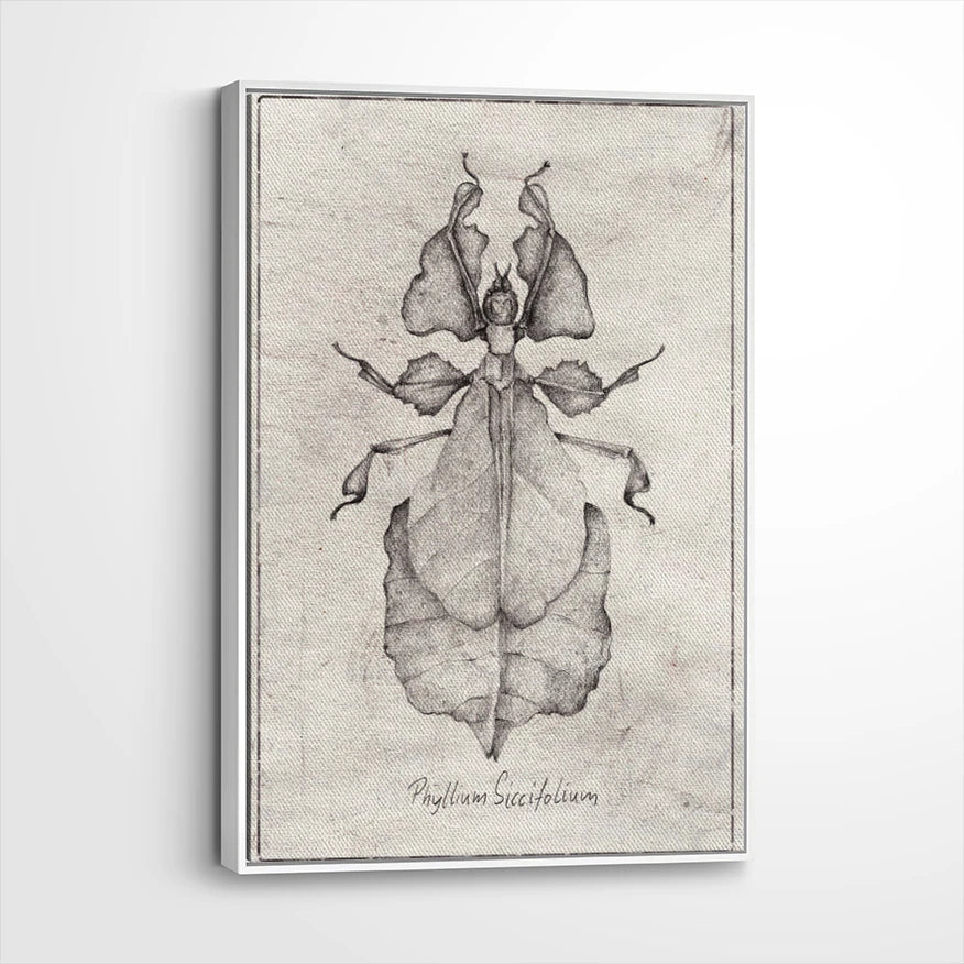 framed-canvas-white