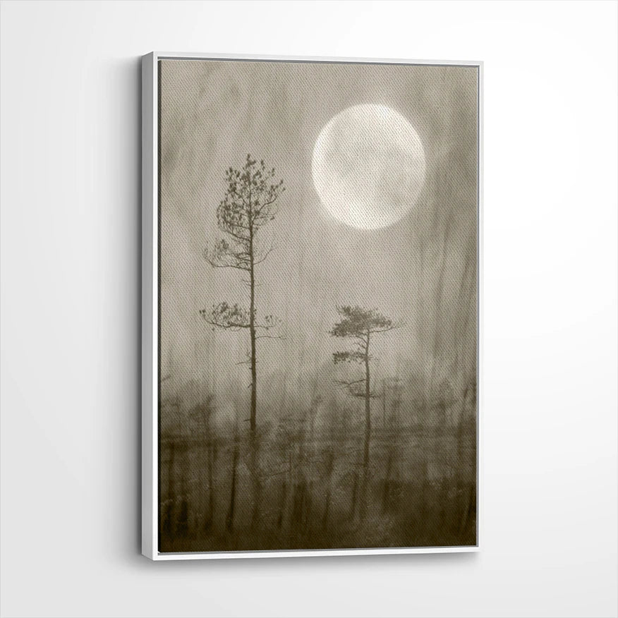 framed-canvas-white