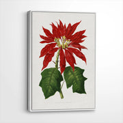 framed-canvas-white