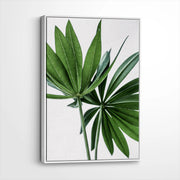 framed-canvas-white
