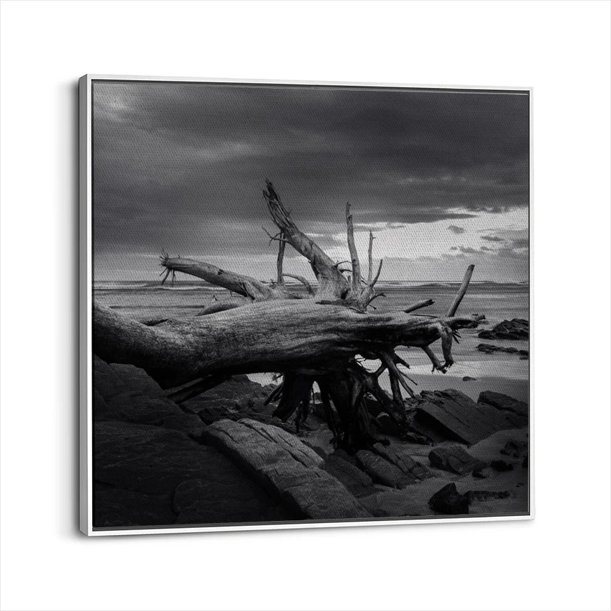 framed-canvas-white