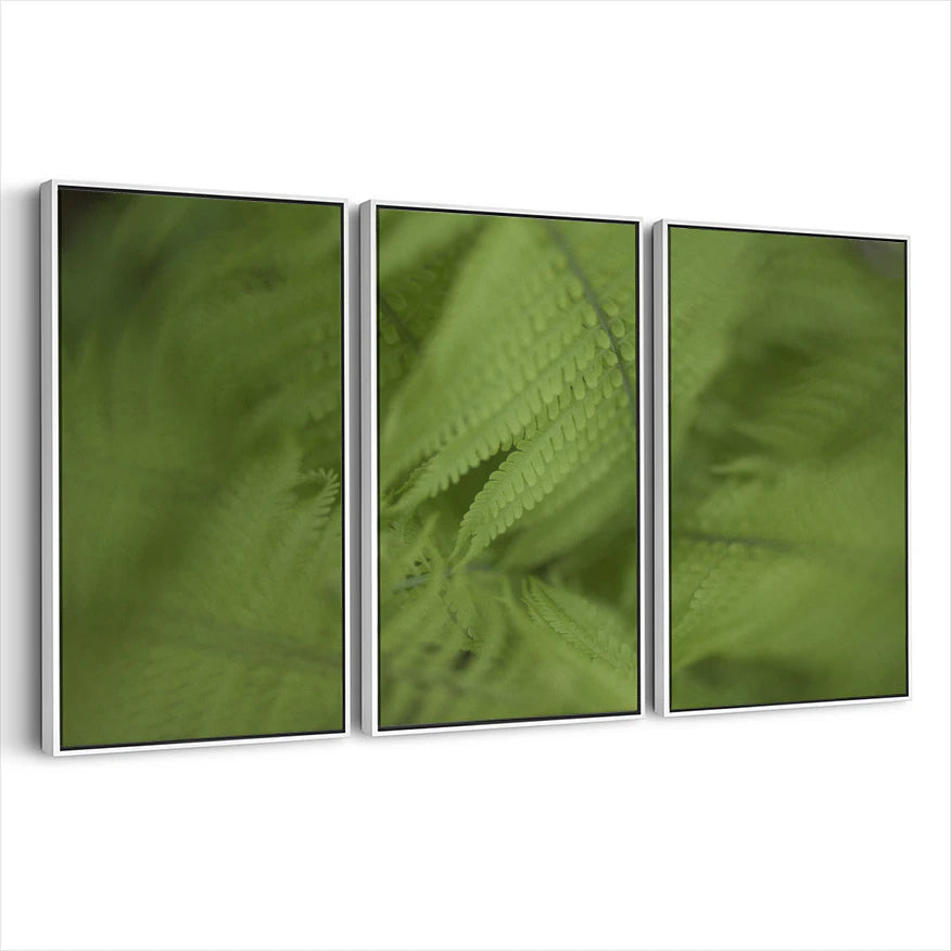 3-framed-print-white