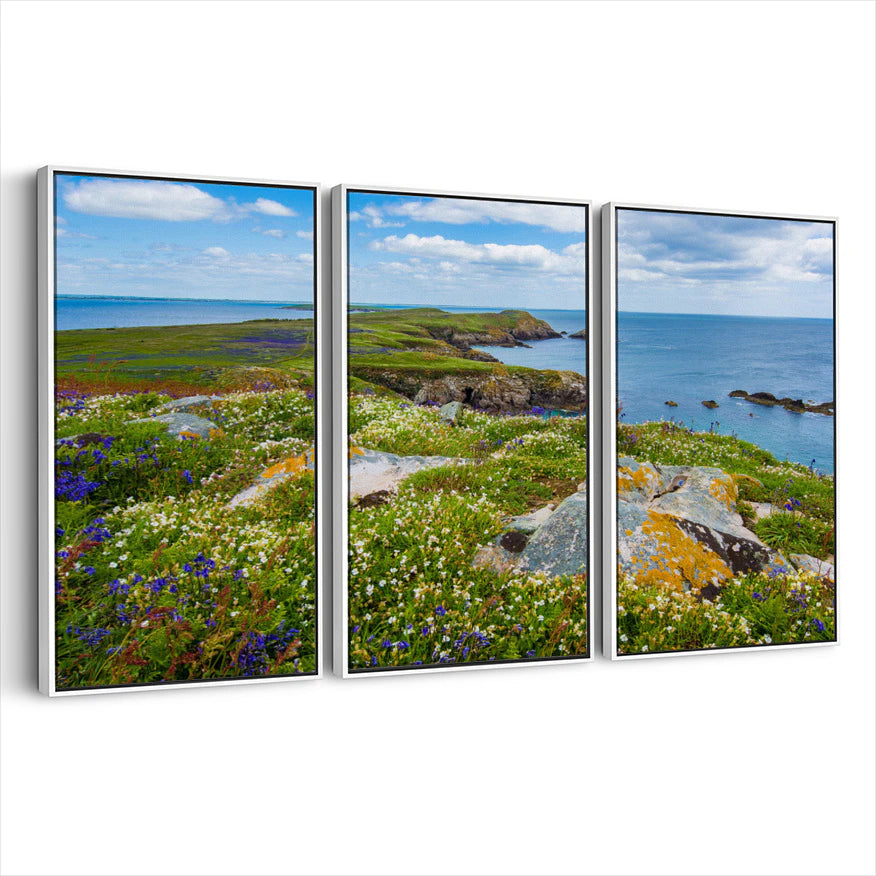 3-framed-canvas-white