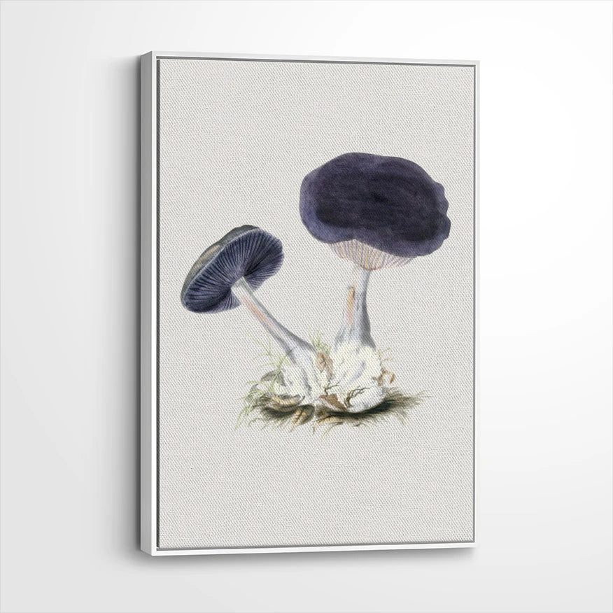 framed-canvas-white