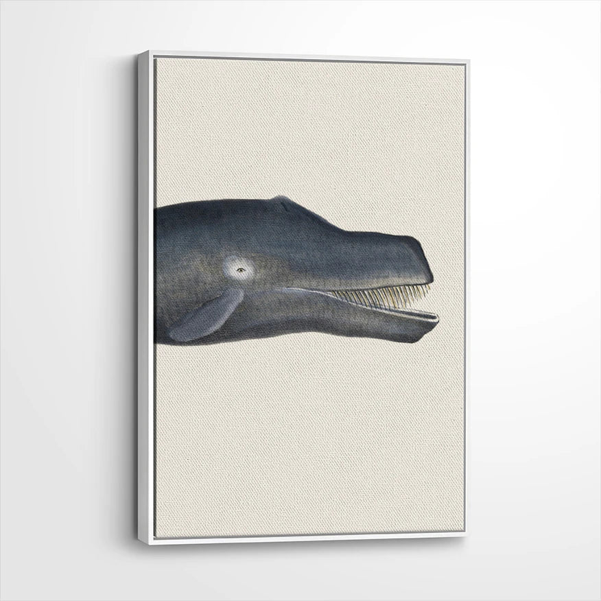 framed-canvas-white