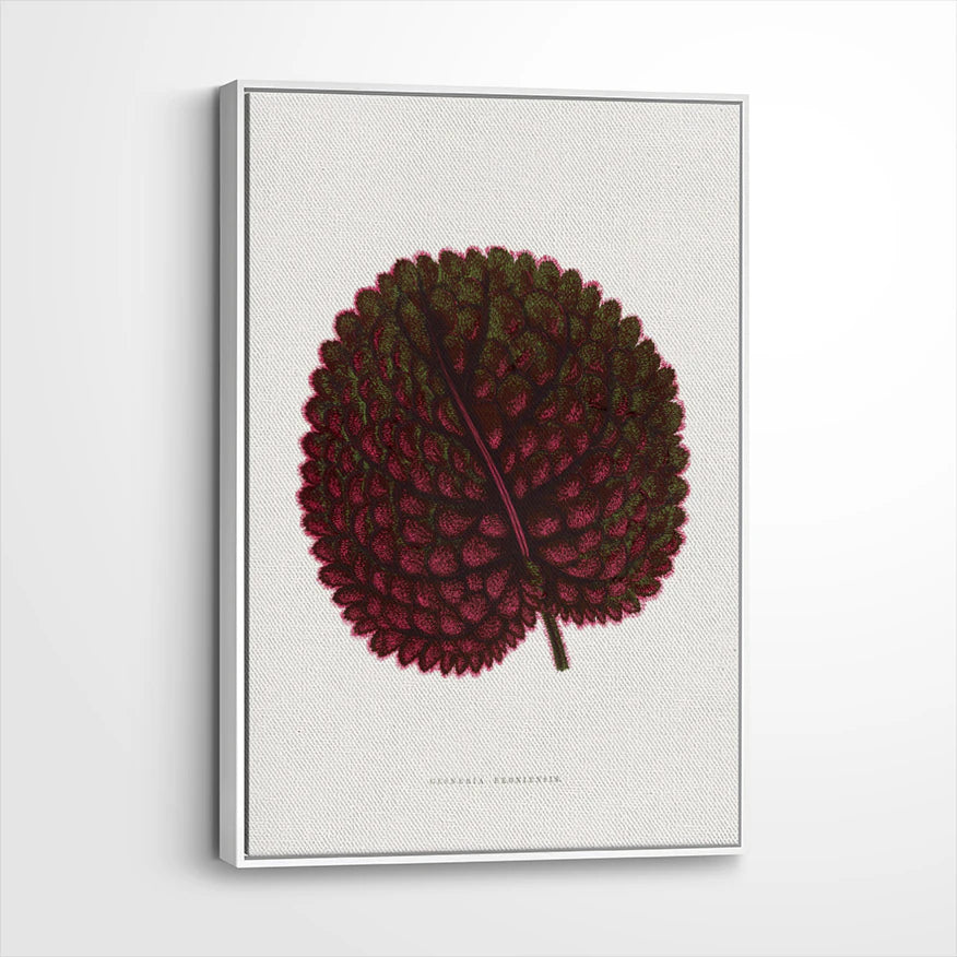 framed-canvas-white