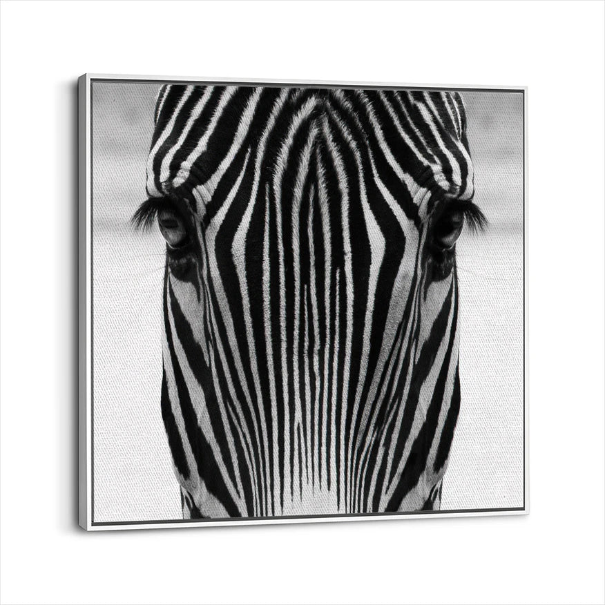 framed-canvas-white