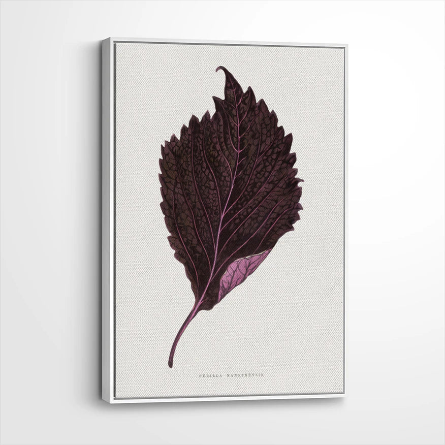 framed-canvas-white